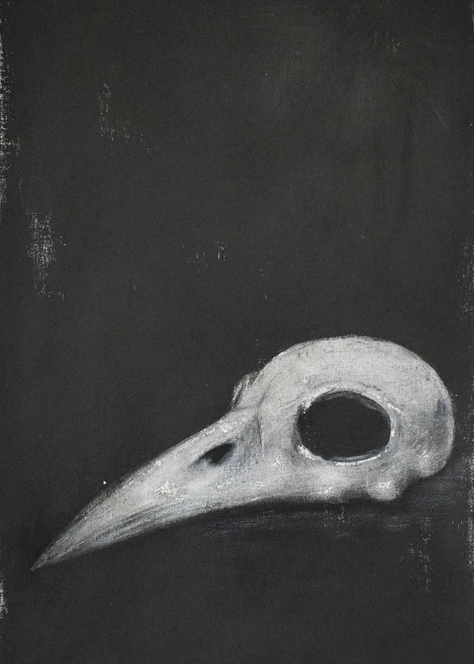 Raven Skull on Black Background