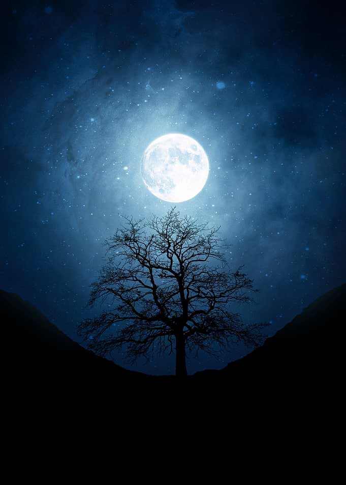 Full Moon Over Barren Tree