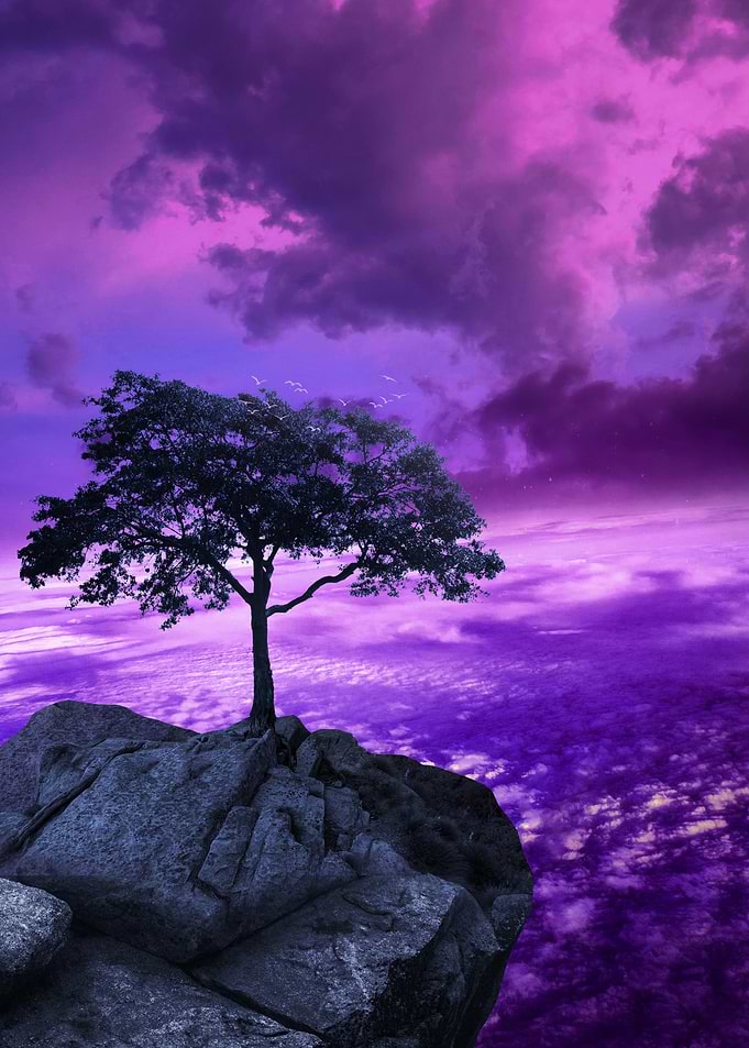 Surreal Tree on Rocky Outcrop Under Purple Sky