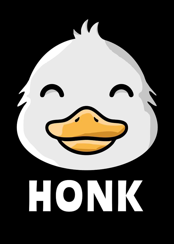 Cute Duck Face HONK Kids Kawaii Duck