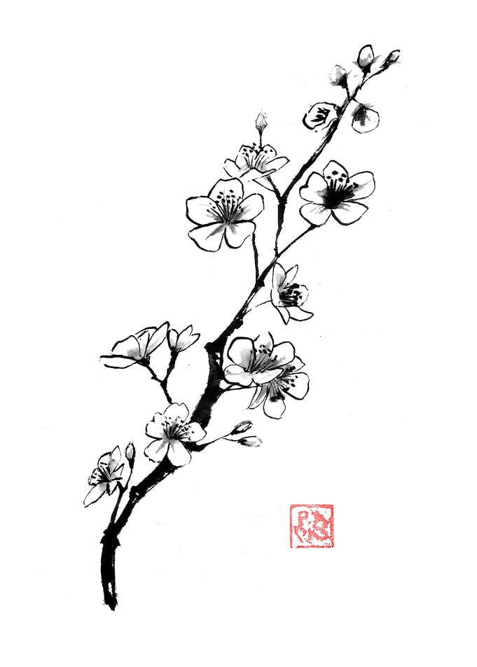 Cherry Blossom Branch with Red Seal
