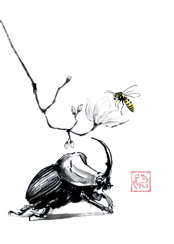 Rhinoceros Beetle and Wasp on Branch