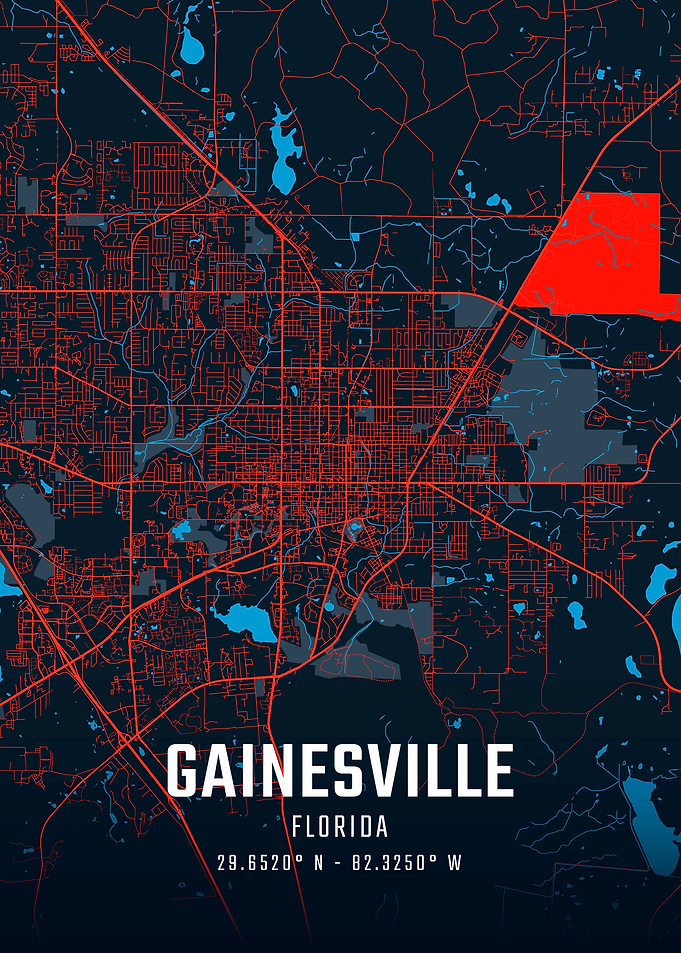 Gainesville Florida City Map