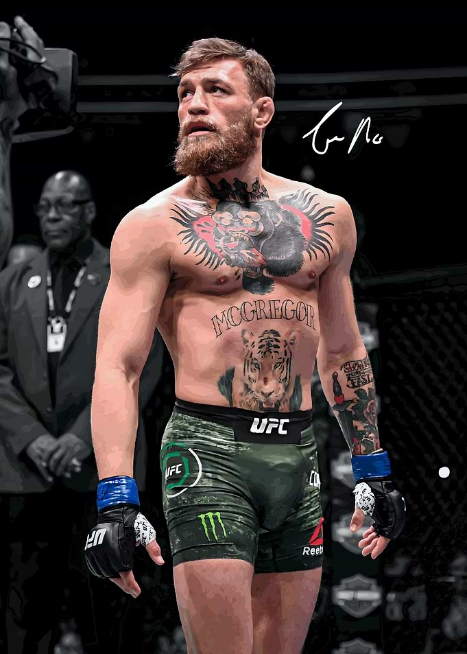 Conor McGregor UFC Fighter