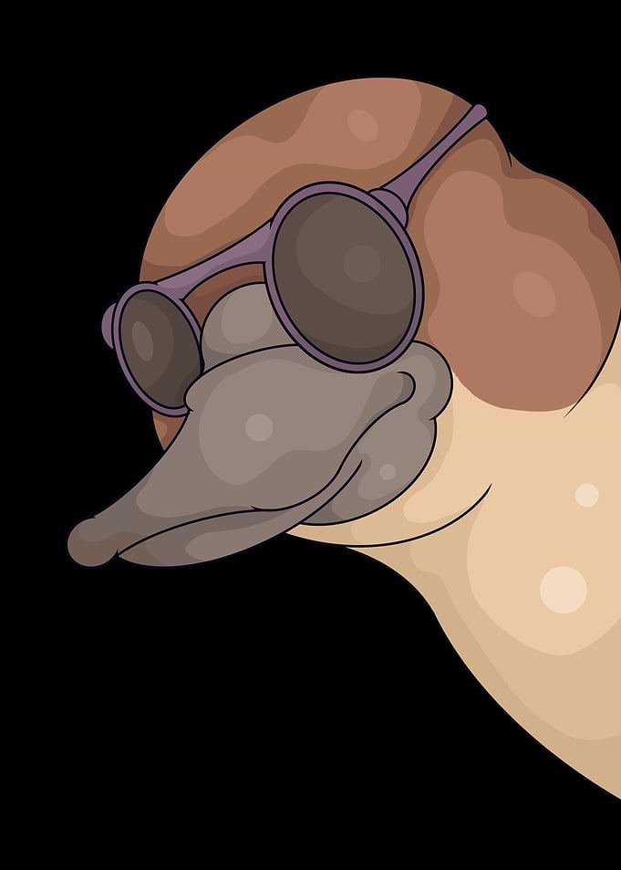 Cool Platypus With Sunglasses Kids Platypus