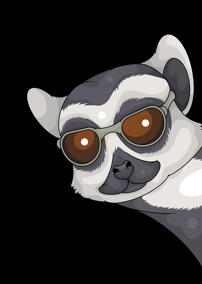 Madagascar Monkey Lemur Lover Kids Lemur