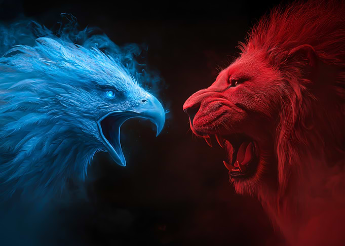 Eagle vs Lion Fight
