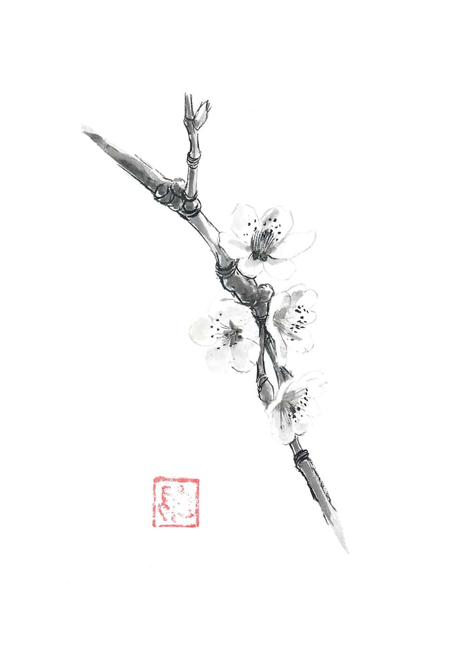 Japanese Ink Painting of Cherry Blossoms