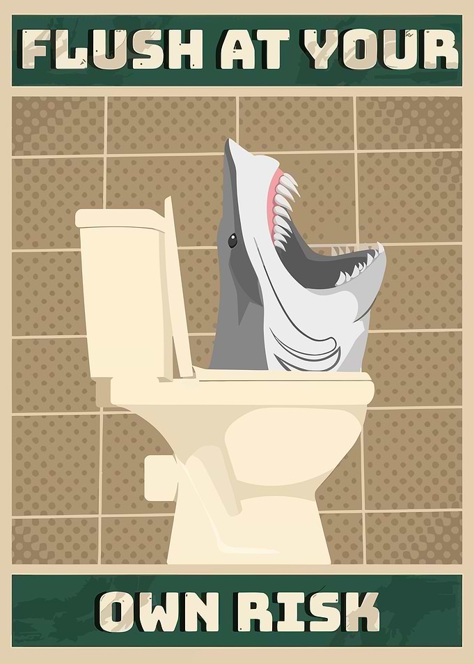 Shark in Toilet Warning Poster