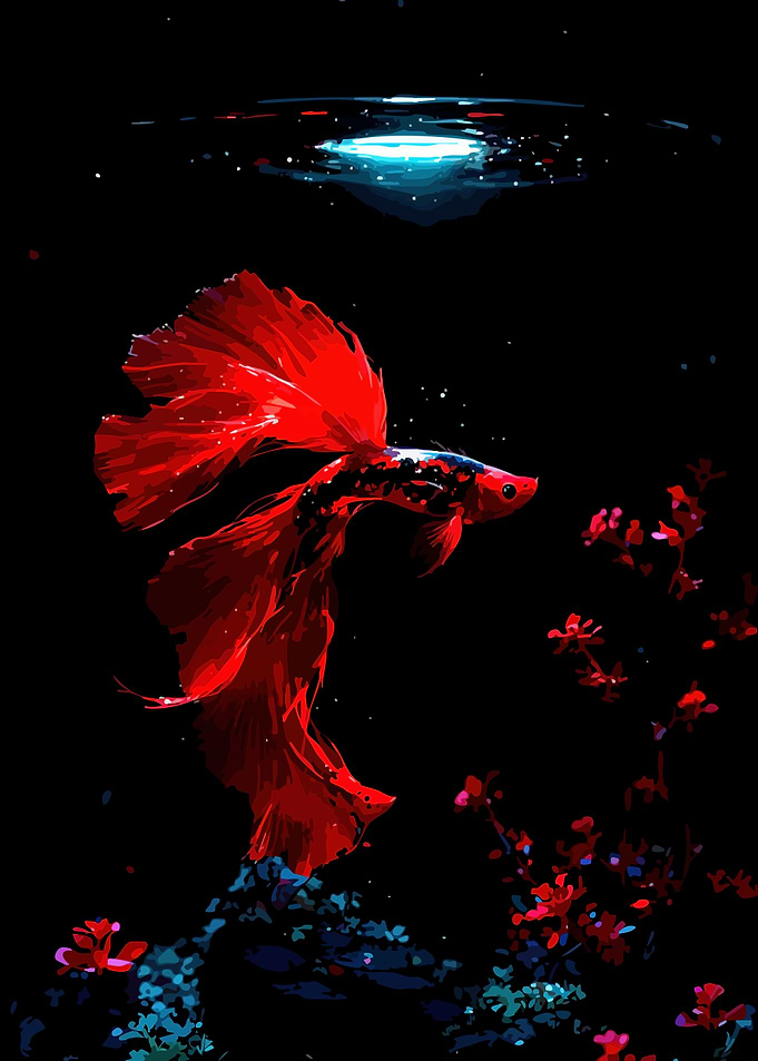 Red Betta Fish in Dark Water