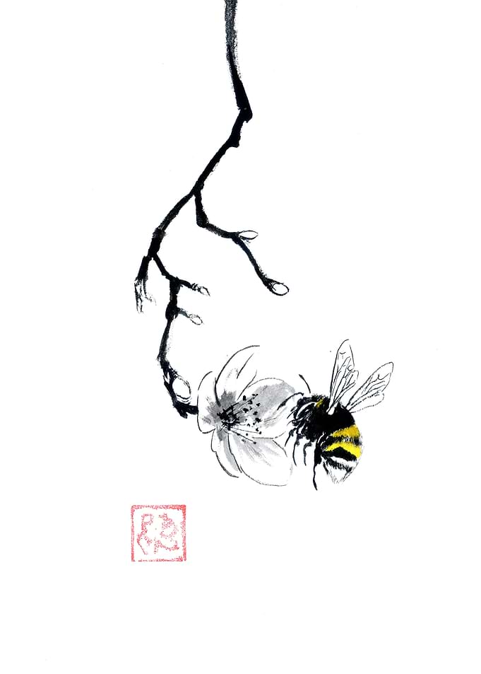 Bumblebee on a Cherry Blossom Branch