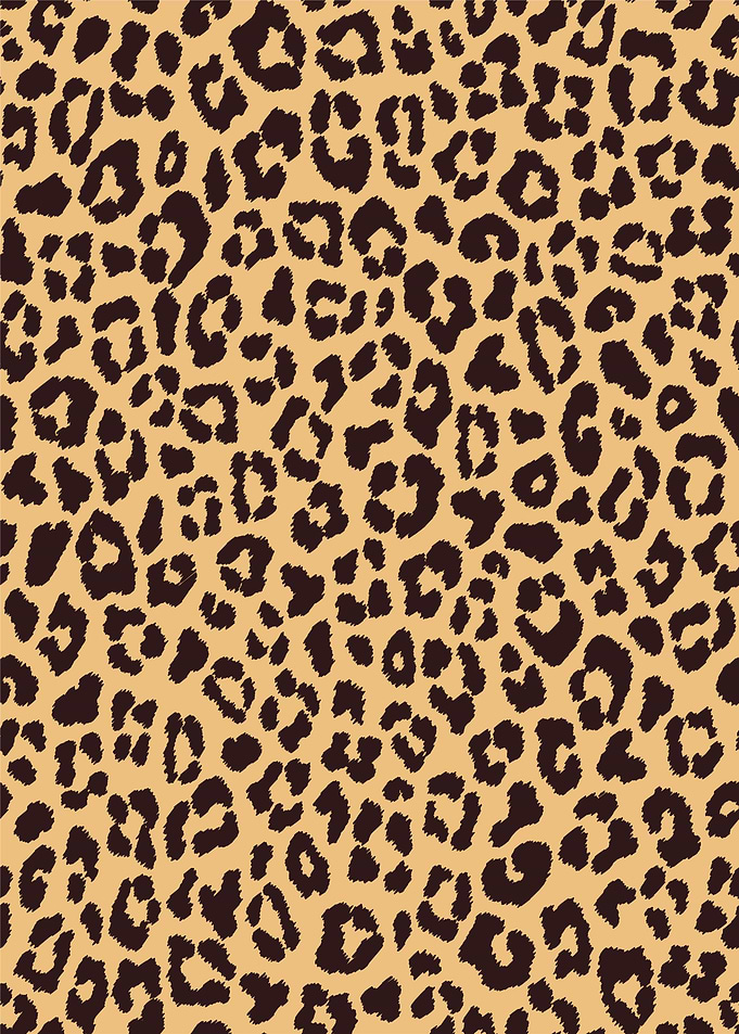 Leopard Print Pattern