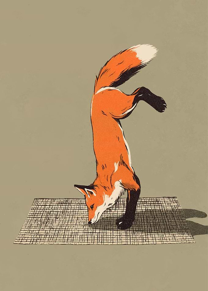 Fox Doing a Handstand on a Mat