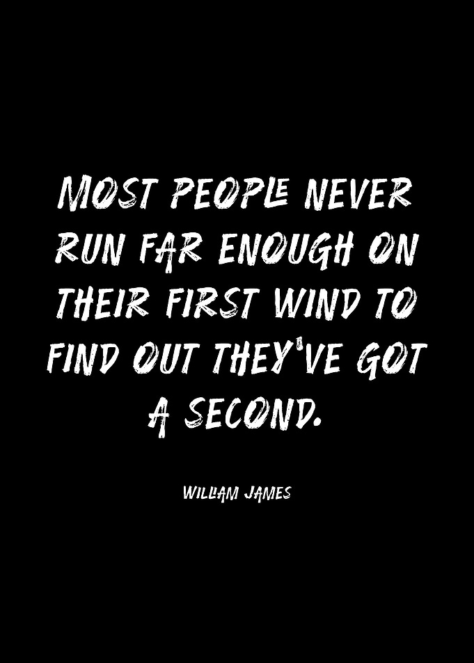 William James Quote on Perseverance