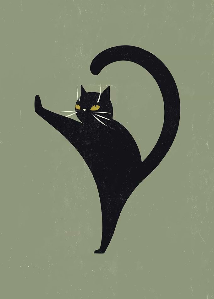 Black Cat in Yoga Pose