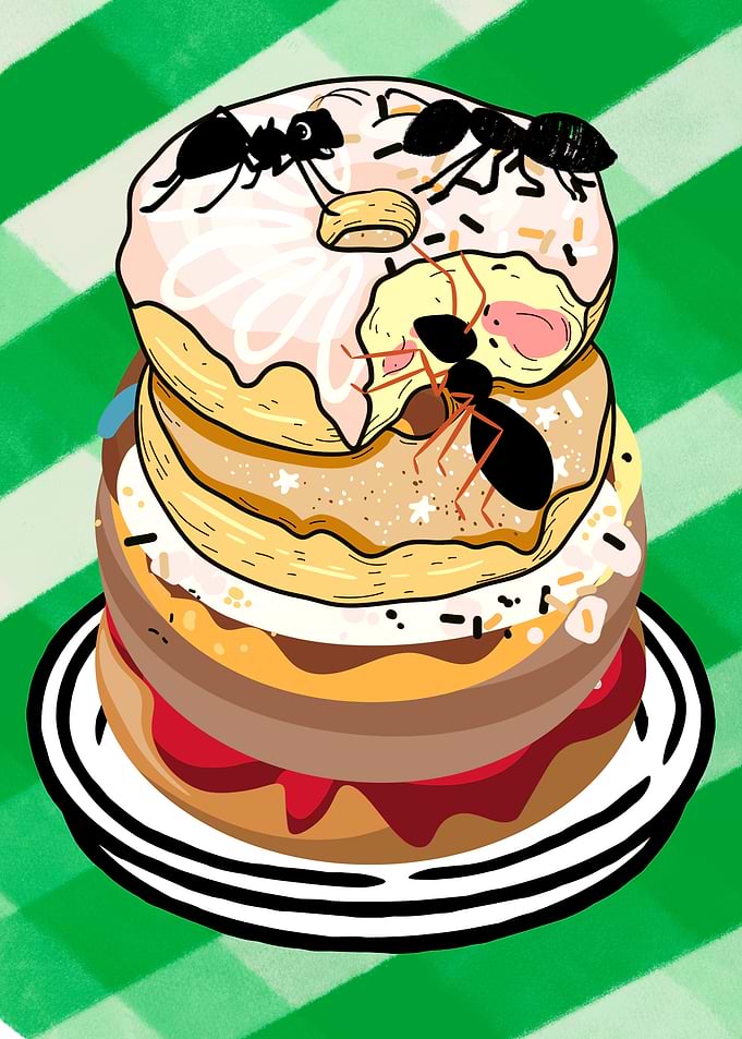 Ants on a Stack of Donuts