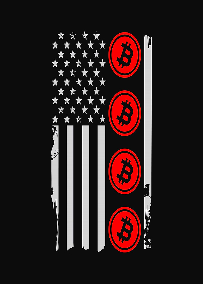 Bitcoin American Flag