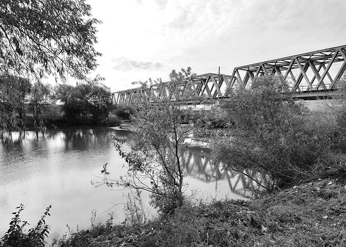 Bridge over a river with trees