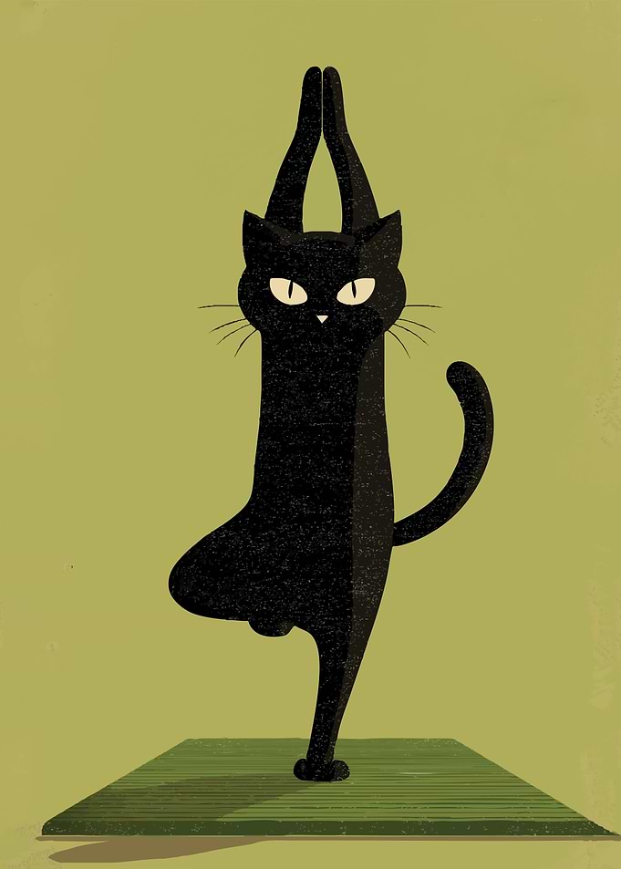 Black Cat Doing Yoga Tree Pose
