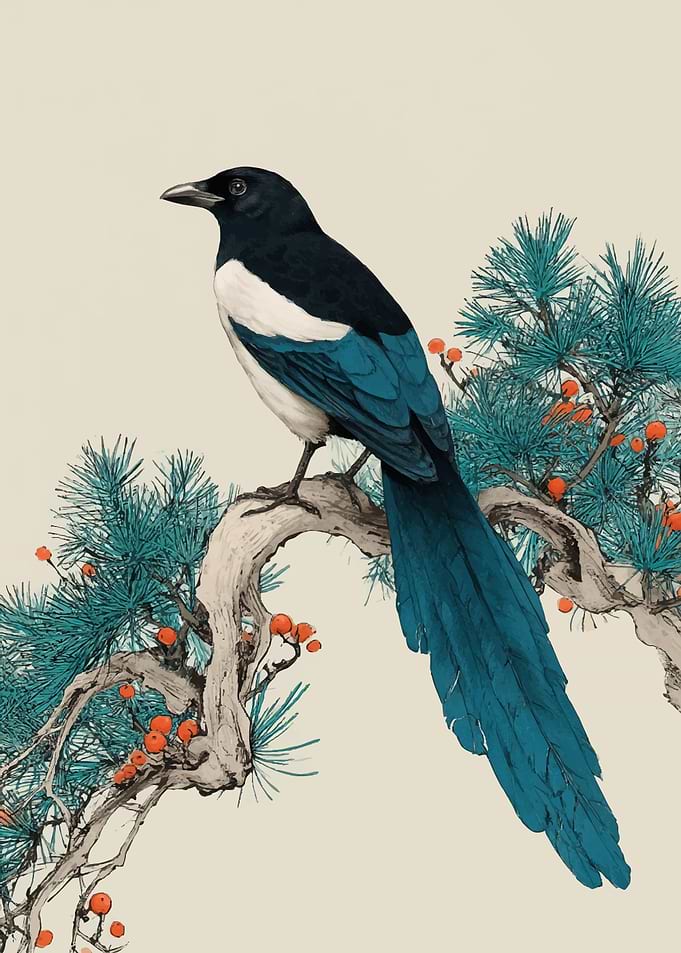 Magpie on a Pine Branch