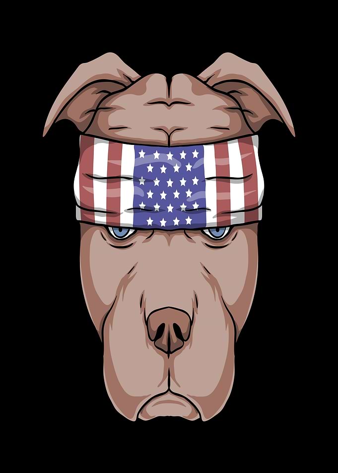 Pitbull with American Flag Bandana