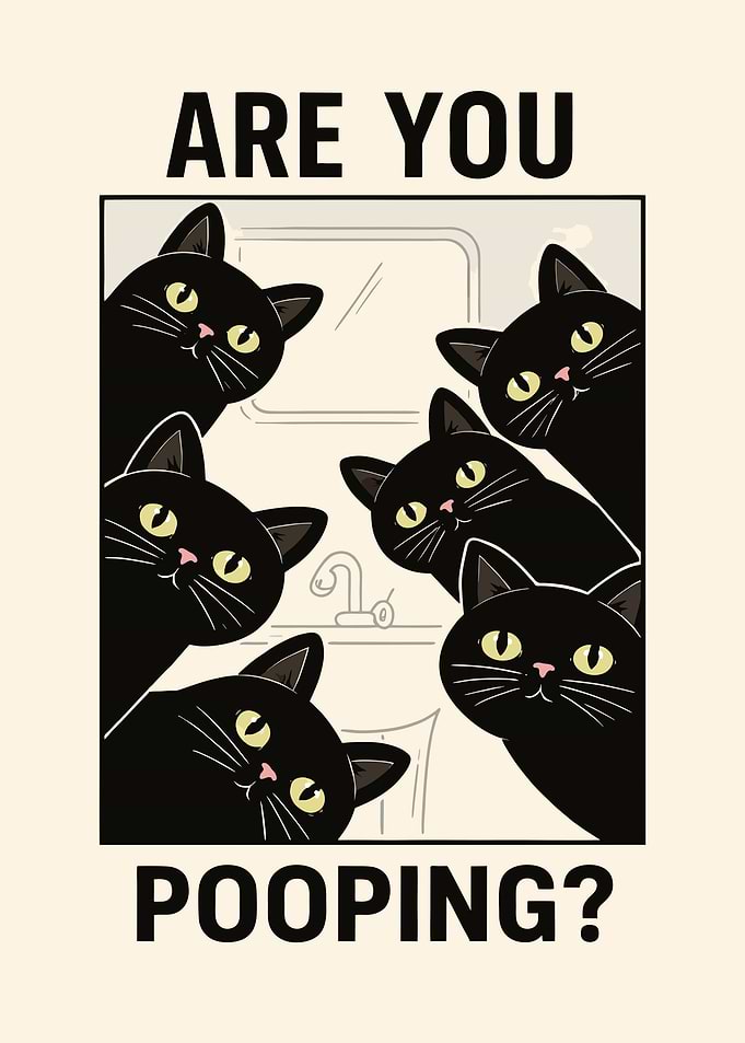 cats are you pooping