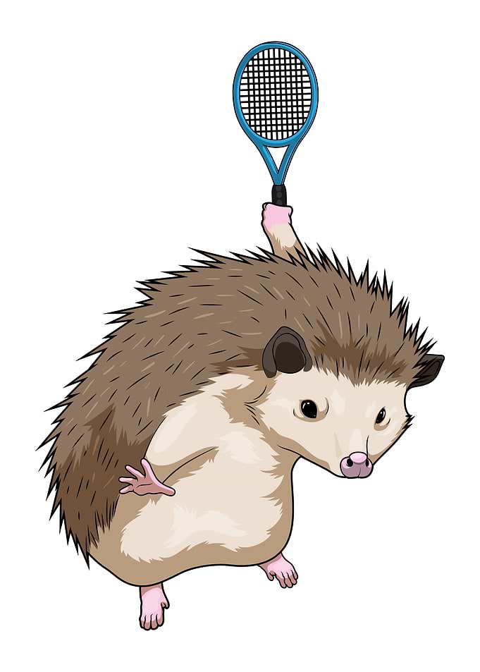Hedgehog Tennis Tennis racket