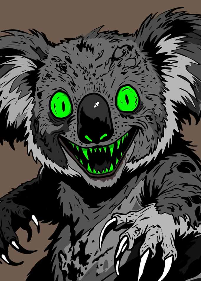 Scary Koala