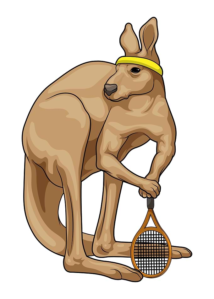 Kangaroo Tennis Tennis racket