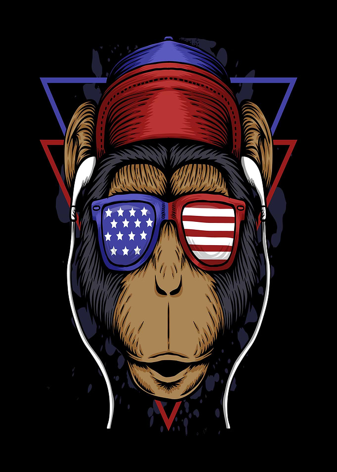 Monkey Wearing American Flag Sunglasses and Cap