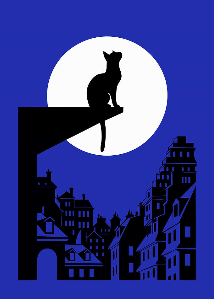 Black Cat on Rooftop Under Moon