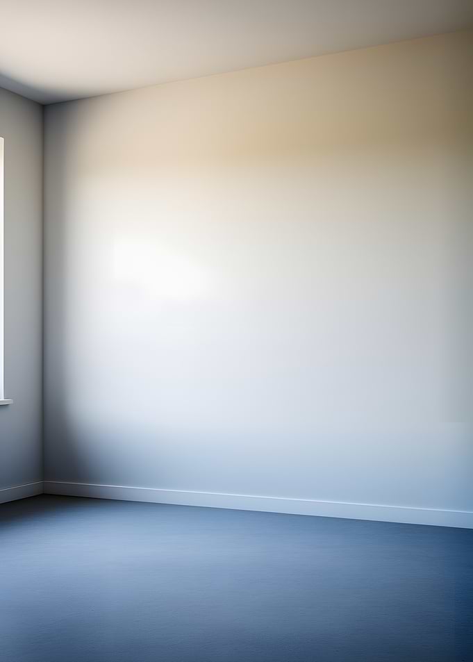 Empty Room with Natural Light