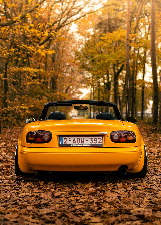 Yellow convertible car in autumn forest