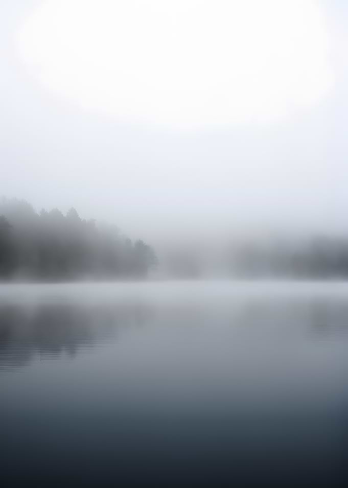 Misty Lake and Forest