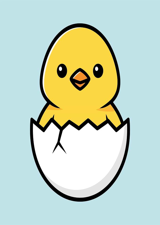 Cute Chick Hatching from Egg