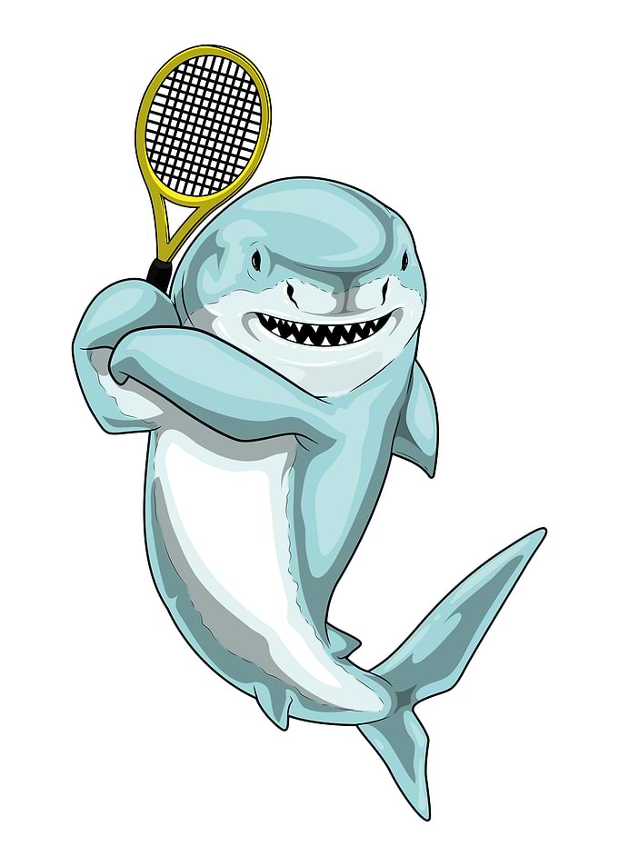 Shark Tennis Tennis racket