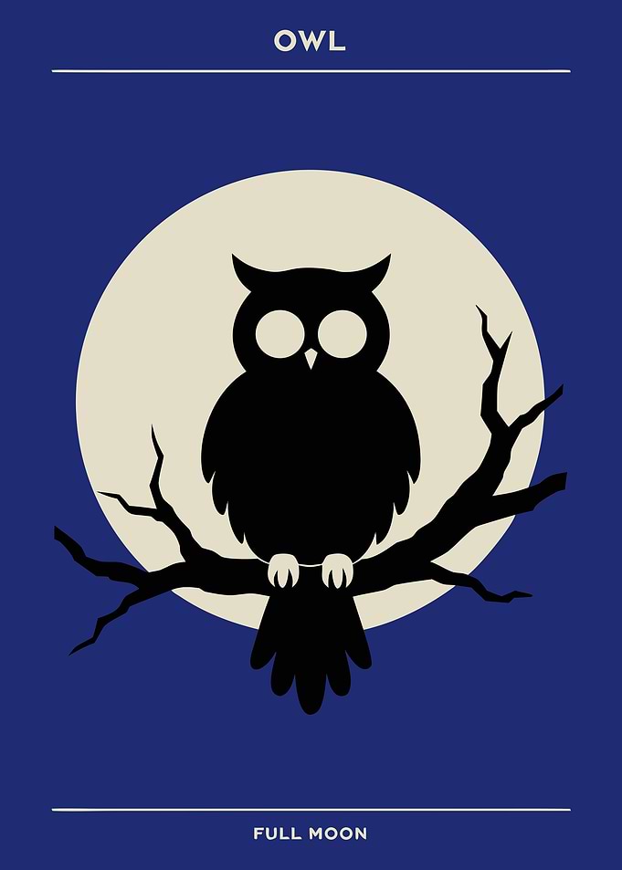 Silhouette Owl on a Branch Under Full Moon