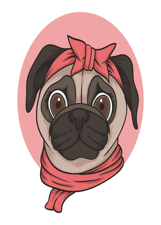 Cute Pug Wearing Scarf and Headband