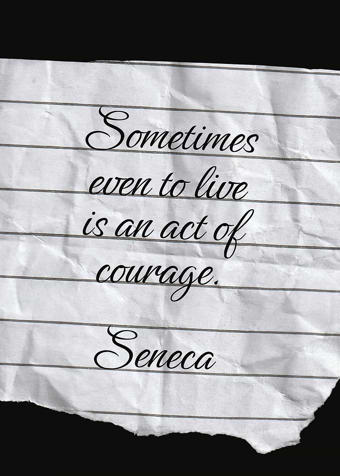 Seneca Quote on Life