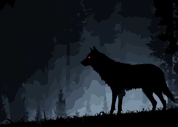 Silhouette Wolf in Dark Forest