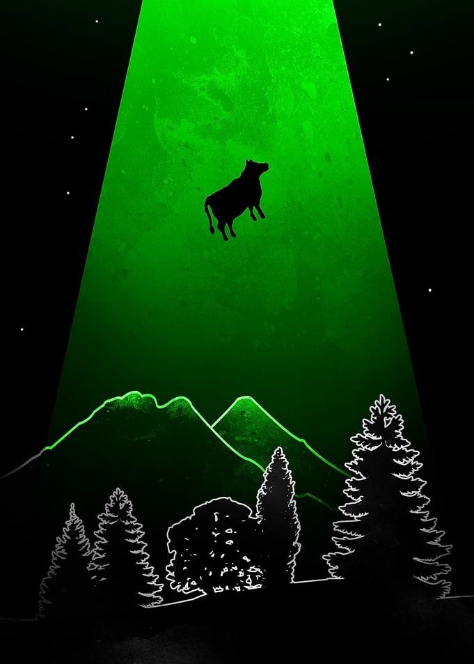 Cow Abducted by UFO Beam
