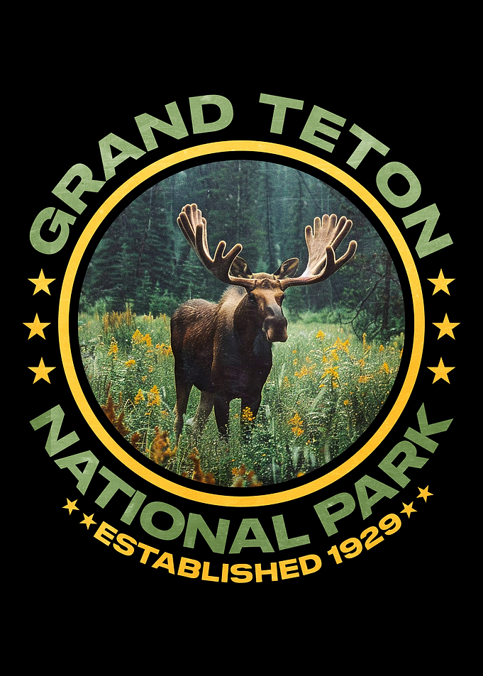 Grand Teton National Park Moose