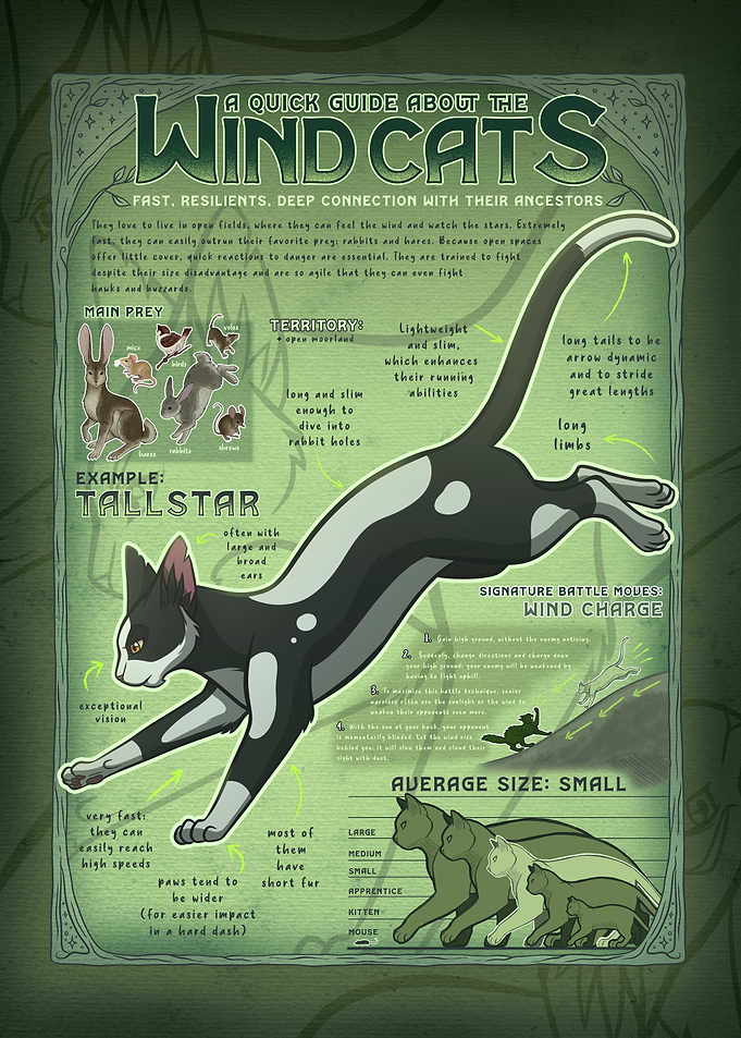 Wind Cats Quick Guide