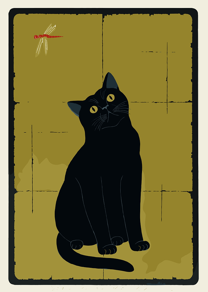 Black Cat Watching Dragonfly