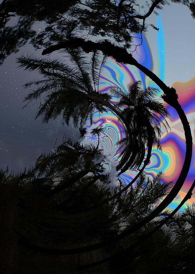 Surreal Palm Trees