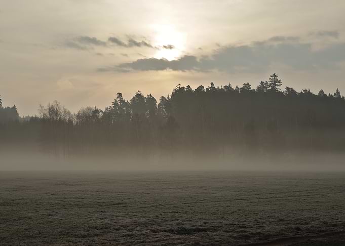 Misty Forest Sunrise Over Field