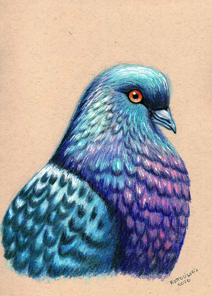 Pigeon Portrait