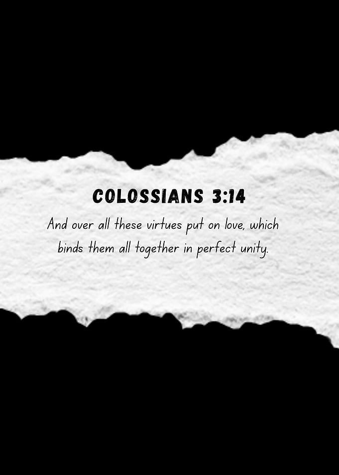 Colossians 3:14 Bible Verse
