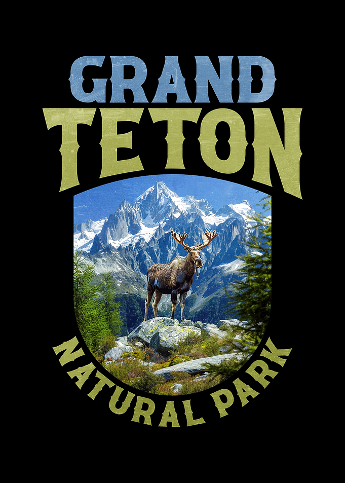 Grand Teton National Park Moose