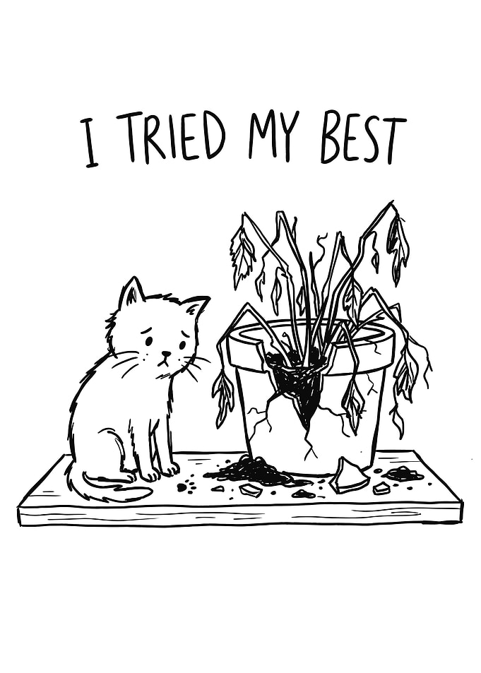 Sad Cat and Dead Plant